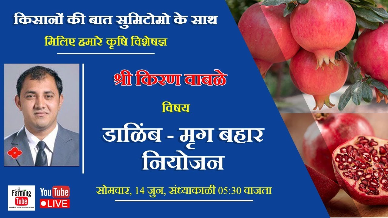 किसानों की बात सुमिटोमो के साथ | डाळिंब - मृग बहार नियोजन | श्री किरण वाबळे