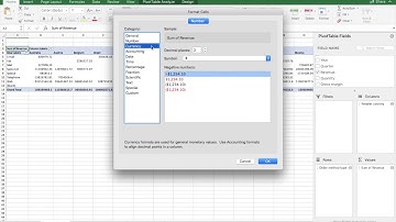 CIS 2010 video project