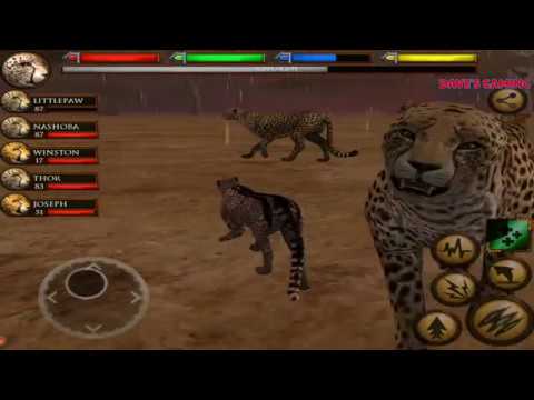 Cheetah Games Free - Carinewbi