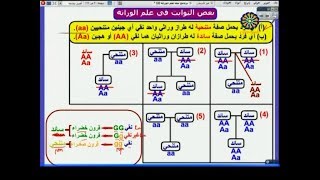 الأحياء لطلاب الشهادة السودانية | الوراثة(2) | د. إدريس جلال