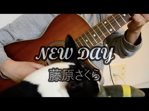 【男性が歌う】NEW DAY - 藤原さくら（※愛犬乱入弾き語り）