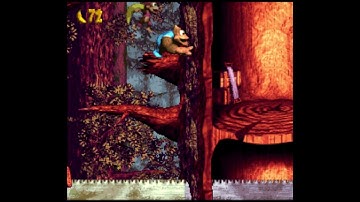 Ripsaw Rage 103% Walkthrough - Donkey Kong Country 3: Dixie Kong