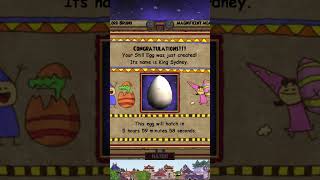 The Pet Training (Casino) Experience - Wizard101