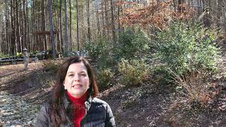 How to Garden on a Slope 🌿 Tips & Plants for Stunning Hillside Gardens | Proven Winners®