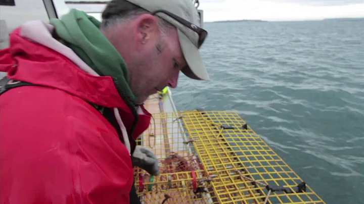 What's it really like to be a fisherman? Meet the fishers: Maine Lobster
