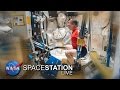 Space Station Live: The ISS Workout Plan