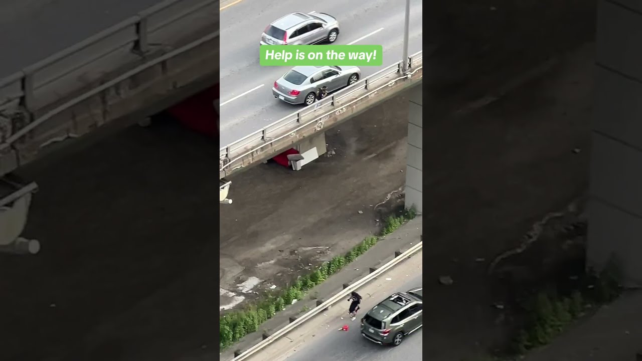 Man Runs Out Of Gas On The Busy Gardiner Expressway And Has To Call A Friend For Help 