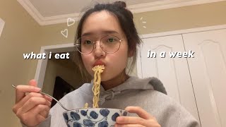 what i eat in a week (korean food + realistic)