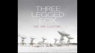 Watch Three Legged Fox All The Lights video