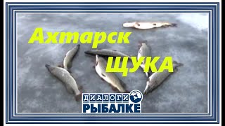 Диалоги о рыбалке - 105 / Ахтарск. Щука