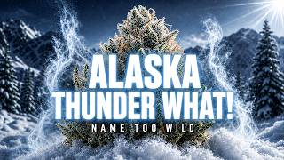 ATF: The Alaskan Strain With A Name Too Wild For YouTube