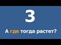 Где мои 30 млн, чувак? (часть 2)