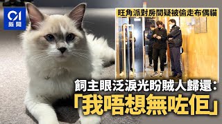 失貓旺角派對房間疑被偷走布偶貓　飼主泛淚光盼歸還我唔想無咗佢01新聞尋貓喵星人