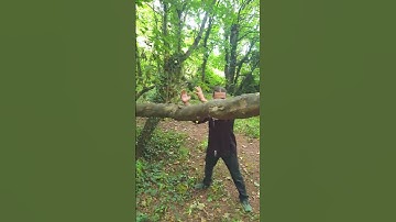 Kung Fu. Level Bridge (Pin kui). Mantis