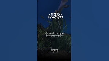 سورة ص آيات تلامس القلوب وتبعث السكينة والراحة النفسية | Surah Sad Touching Verses Bringing Tranqu