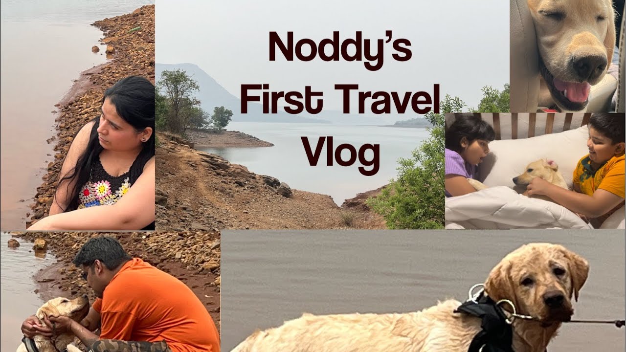 TRAVELLING WITH MY DOG IN A CAR FIRST TRAVEL VLOG BOUGAINVILLEA