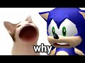 Pop cat annoys Sonic