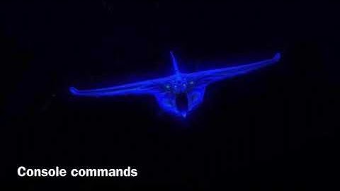 The fastest way to get a Trivalve egg in subnautica below zero