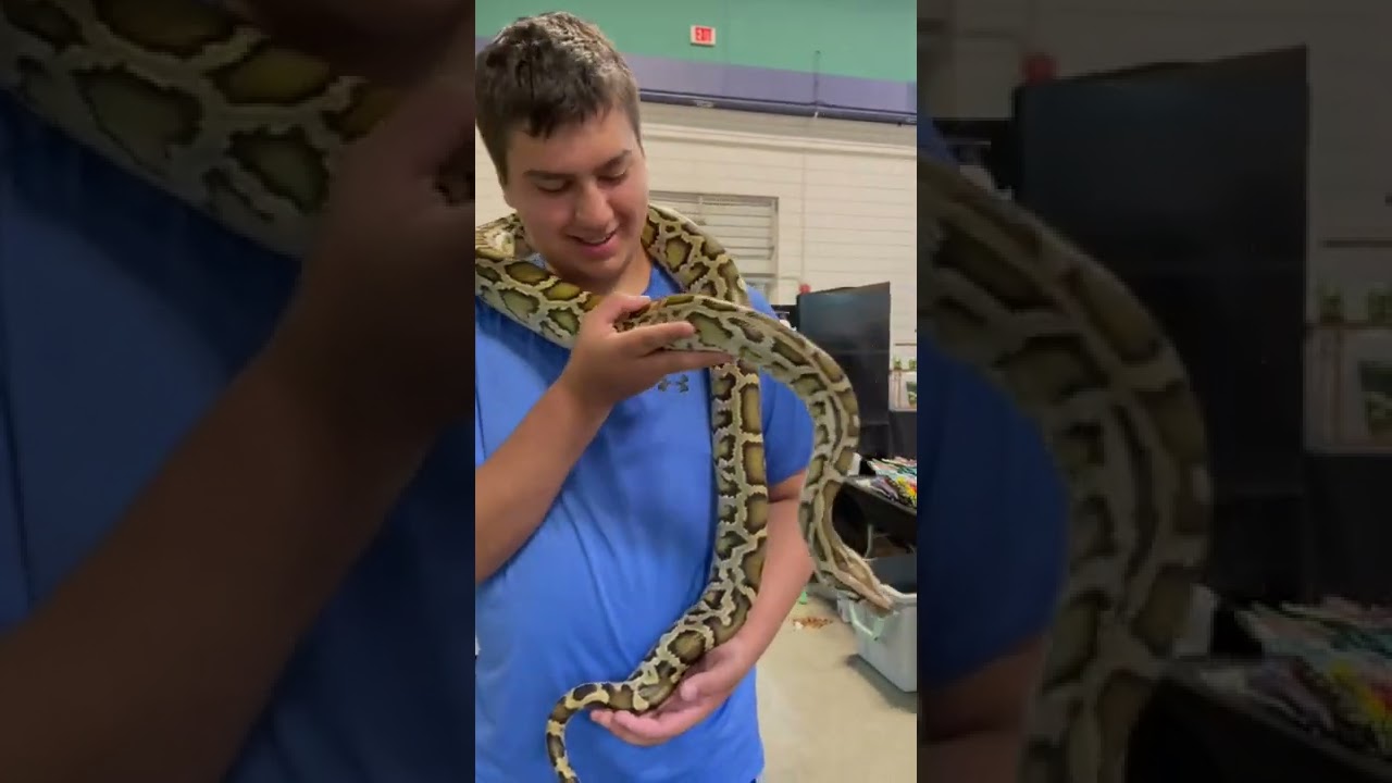 Massive snake around my neck!