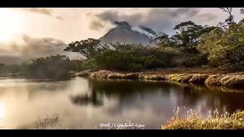 تلاوة القارئ : رعد الكردي | أَوَلَمْ يَرَوْا كَيْفَ يُبْدِئُ اللَّهُ الْخَلْقَ ثُمَّ يُعِيدُهُ