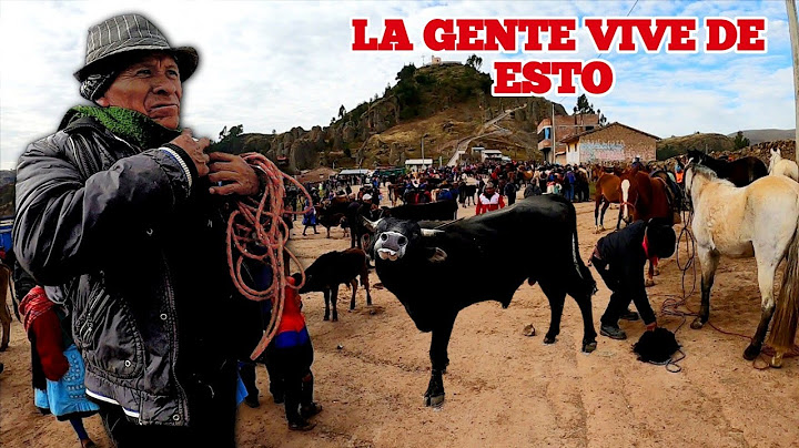 El NEGOCIO de la GANADERÍA en la SIERRA | Huancavelica Perú