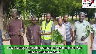 Muslim Council Yola South Lg Plant Trees To Provide Shades And Green The Environment