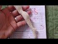 Corpo base para bonecas com pernas definidas ( Doll crochet)