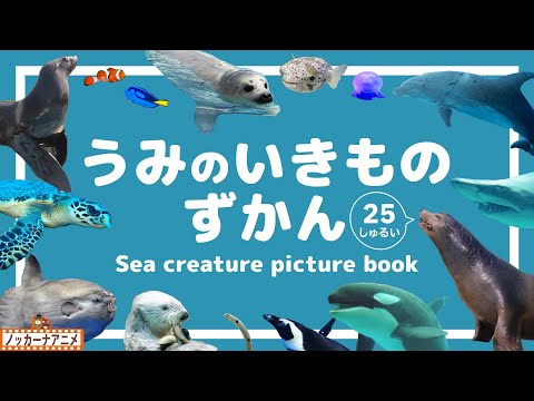 海の生き物図鑑】水族館で人気の動物たち25種！知育アニメ