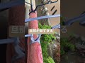 このアイデア凄い👍