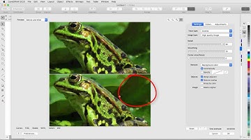 Convert Bitmaps to Vectors with AI | CorelDRAW for Mac