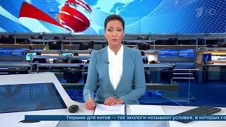 Экологи и следователи выясняют, в каких условиях содержат около ста белух и косаток Экологи и следователи выясняют, в каких условиях содержат около ста белух и косаток