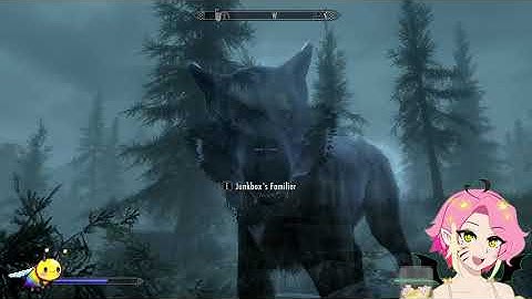 Skyrim: SINCE WHEN WERE THERE A DIFFICULTY SETTINGS