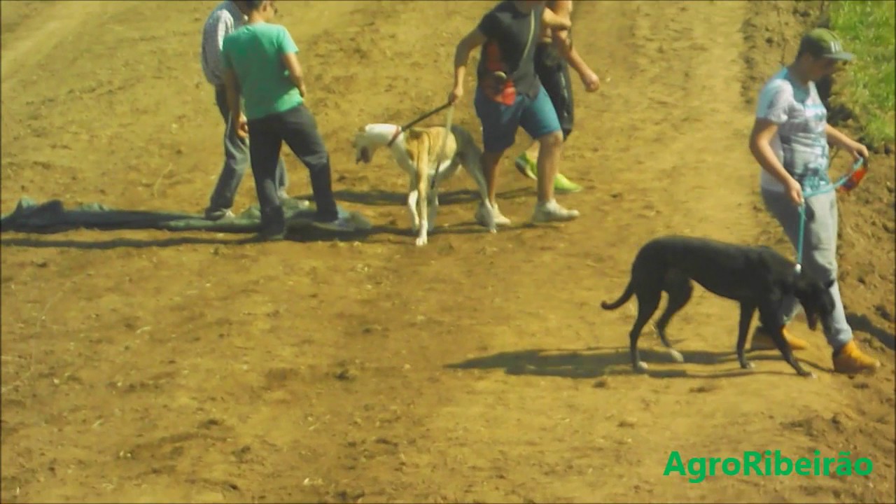 dupla sena de páscoa ano 2024