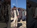 د پکتیا د څمکنیو ولسوالۍ په مداخېلو کلي کې څه پېښ شوي؟