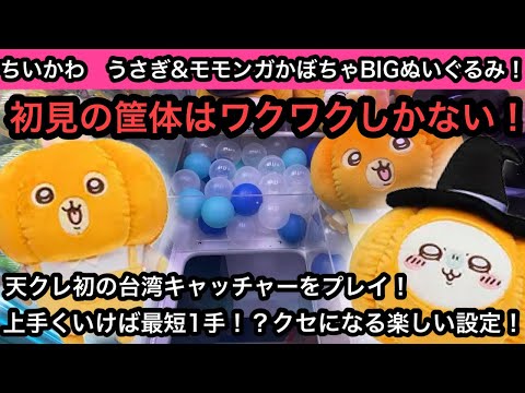 ちいかわ カボチャBIGぬいぐるみ うさぎ 10個 モモンガ 10個 ちいかわ うさぎ・モモンガ カボチャBIGぬいぐるみ｜タイトーの9