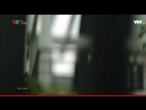 Tin bão khẩn cấp cơn bão số 3 năm 2016