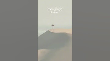 إِنَّ اللَّهَ وَمَلَائِكَتَهُ | سورة الأحزاب | وديع اليمني | تلاوة هادى | تلاوة خاشعة وجميلة