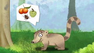 My Treetop Friends | Episode 1 | Education | Animals | Videos for kids | Cartoons | Animation