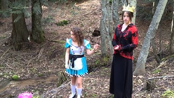 ~Alice & The Dynamic Interactional Model of Cognition~