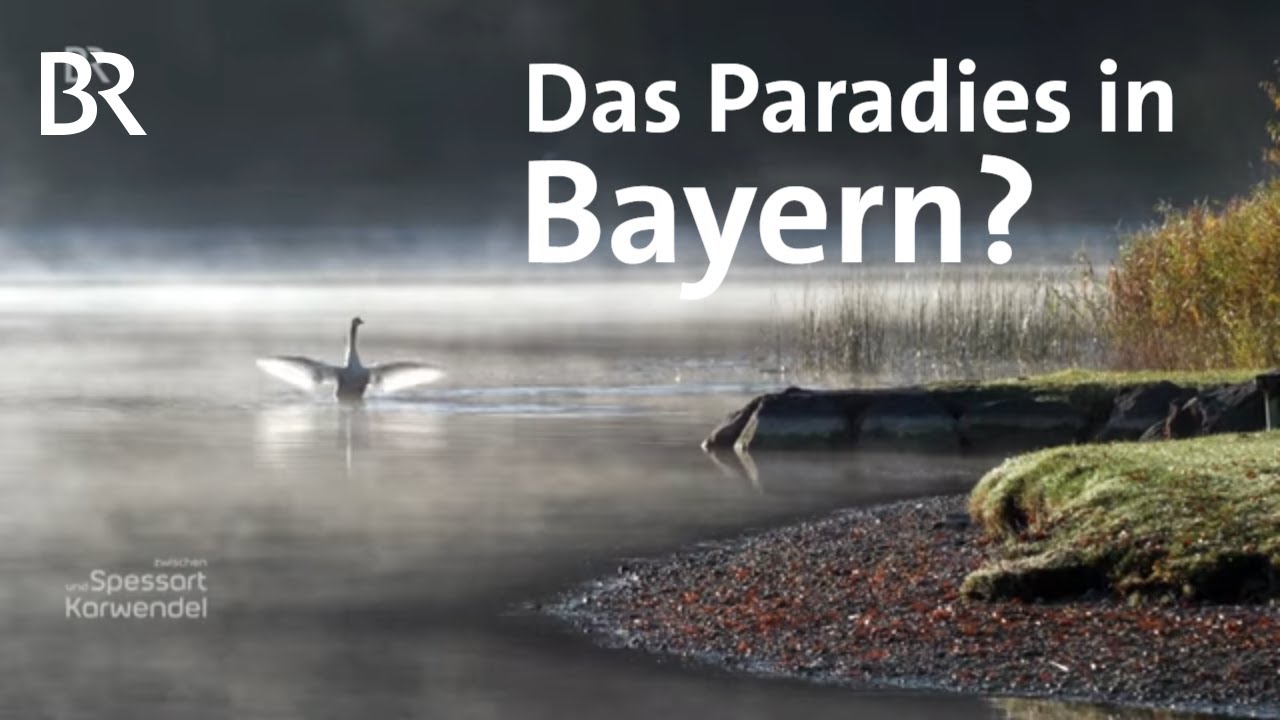 Wohnen im Allgäu: Was schätzen die Menschen an diesem Ort? | Zwischen Spessart und Karwendel | BR