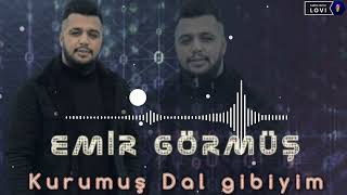 EMİR GÖRMÜŞ - KURUMUŞ DAL GİBİYİM COVER 2022 Resimi