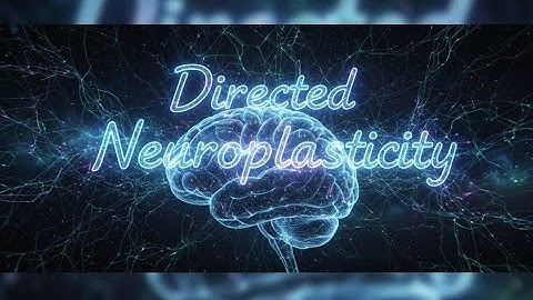 Gerichte neuroplasticiteit – Hoe u uw hersenen opnieuw kunt bedraden voor succes