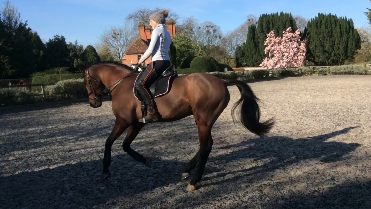 ARKANSIS REBEL- Flat video