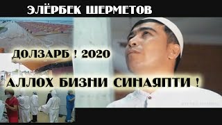 ALLOH BIZNI SINAYAPTI ! Elyorbek Shermetov-Элербек Шерметов- Оллох Бизни Синаяпти 2020