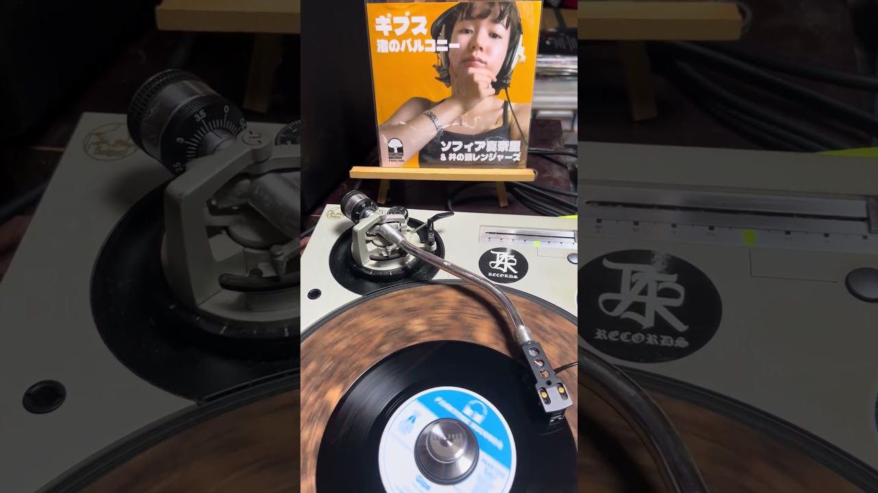 ソフィア真奈里&井の頭レンジャーズ/ギブス 