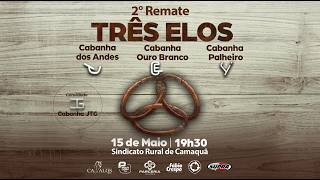 REMATE TRÊS ELOS AO VIVO PROGRAMA CAVALOS TRANSMISSÃO DE LEILÃO REMATE CAVALO CRIOULO OUTONAL ABCCC