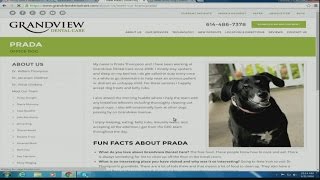 Daytime Grandview Dental Care