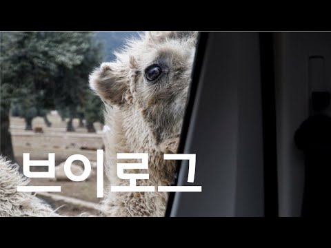이탈리아 캠핑카 여행 브이로그 03: 남부 마지막 편