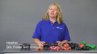 Goughnuts Dog Toys Product Review Drs. Foster Smith Pet Supplies