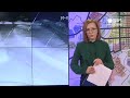 Стая волков у жилых домов  Новости Кирова 14 01 2022